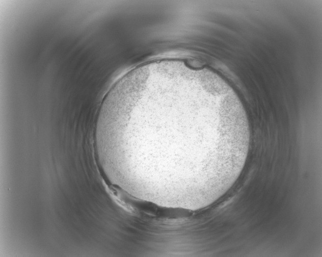 X0000063491425200602172038