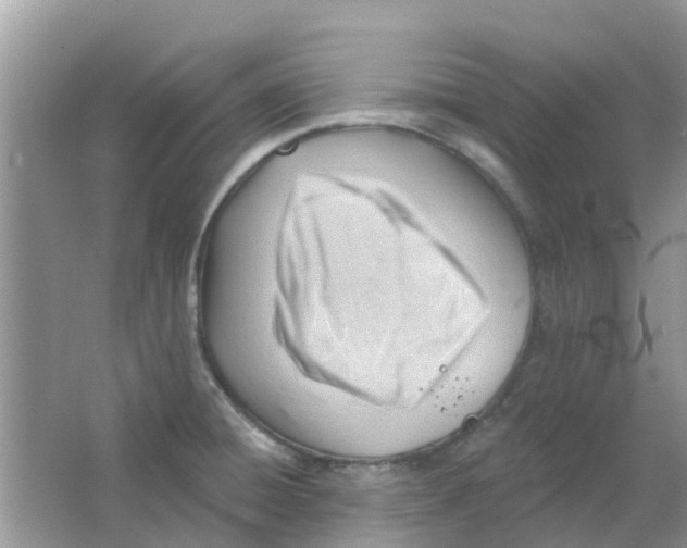 X0000063491428200602172039