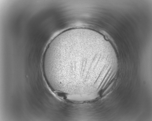 X0000063491429200602172039