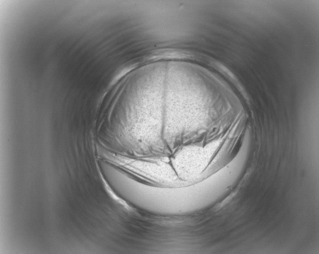 X0000063491433200602172039