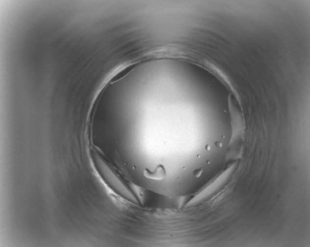 X0000063491434200602172039