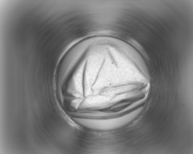 X0000063491436200602172039