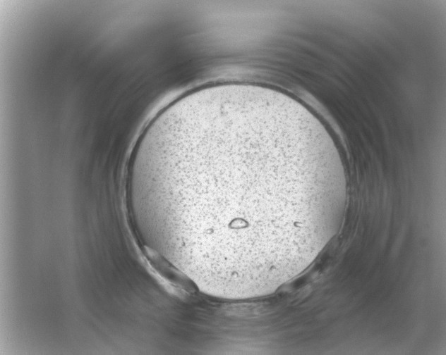 X0000063491437200602172039