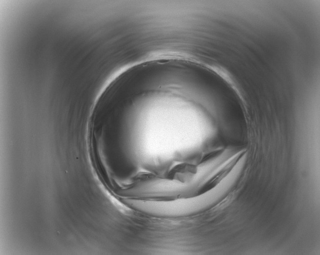 X0000063491438200602172039