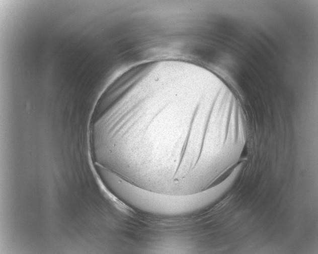 X0000063491439200602172039