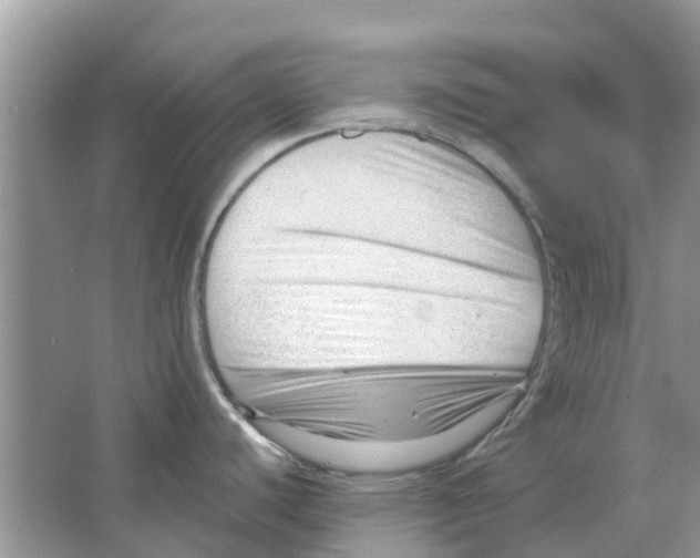 X0000063491440200602172039