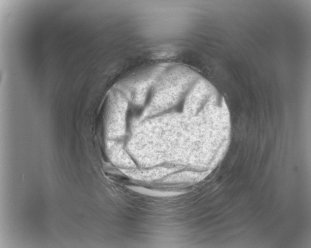 X0000063491441200602172038