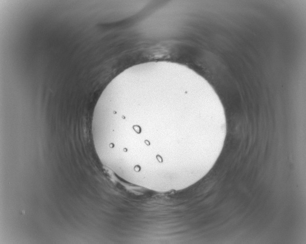 X0000063491442200602172038