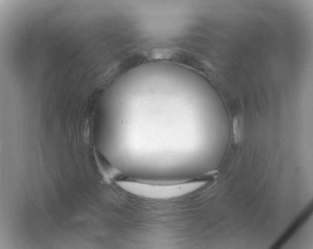 X0000063491443200602172038