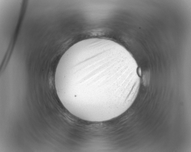 X0000063491444200602172038