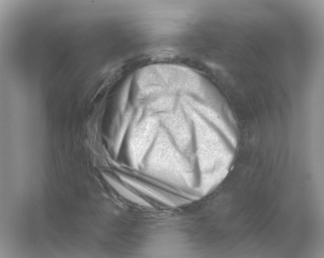 X0000063491445200602172038