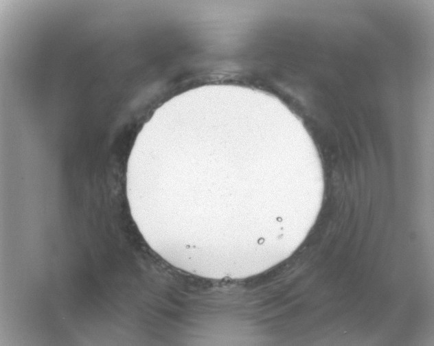 X0000063491447200602172038