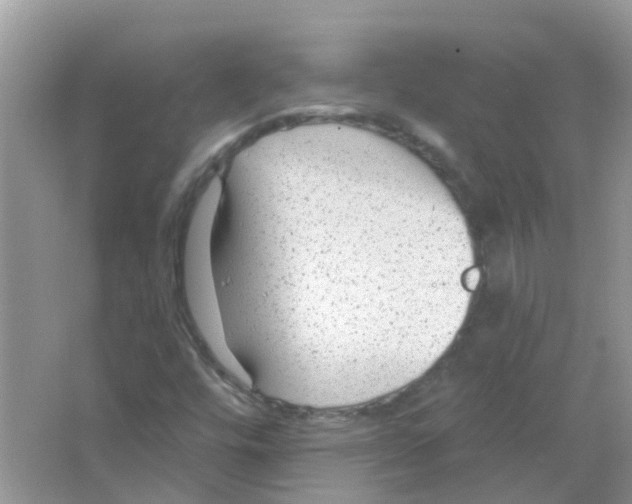 X0000063491448200602172038