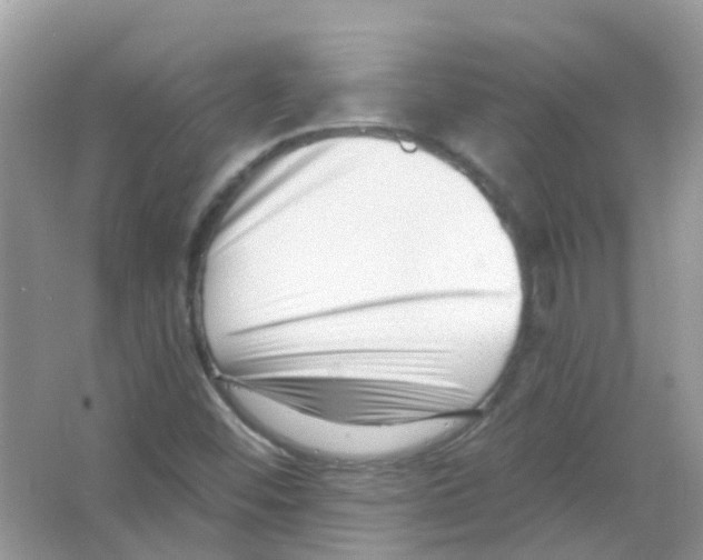 X0000063491452200602172038