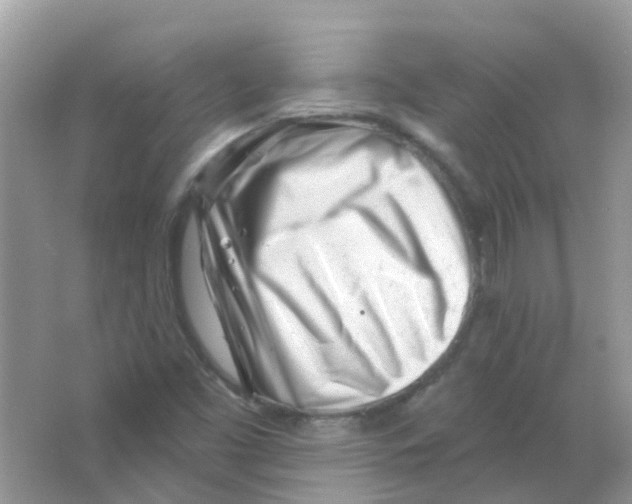 X0000063491453200602172038