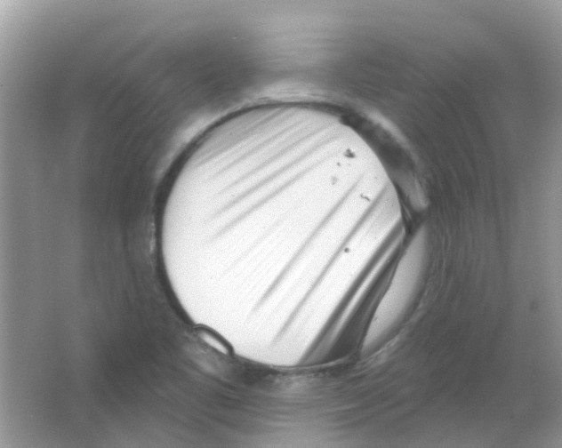 X0000063491461200602172038