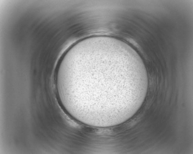 X0000063491466200602172037