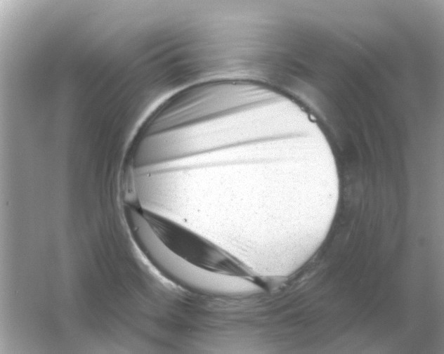 X0000063491468200602172037