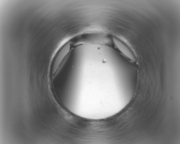 X0000063491469200602172037