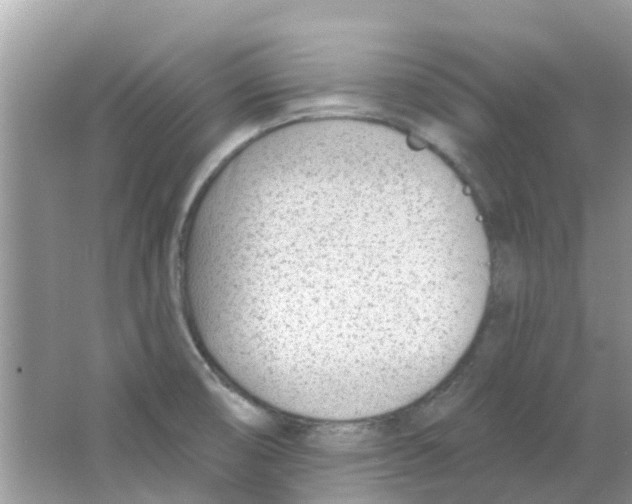 X0000063491474200602172037