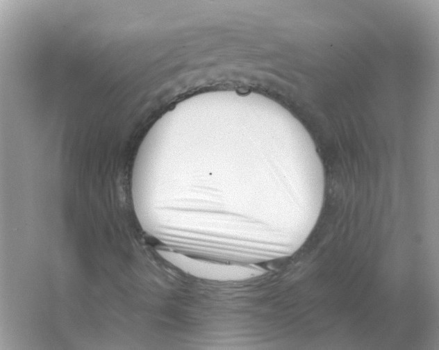 X0000063491490200602172036