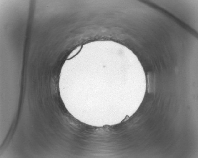 X0000063491491200602172036