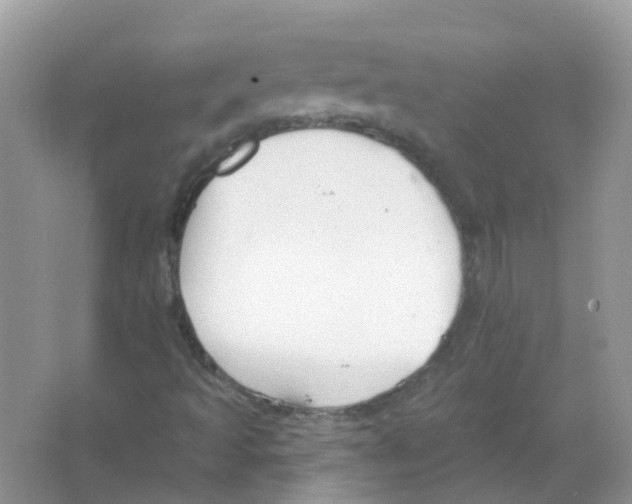 X0000063491493200602172036