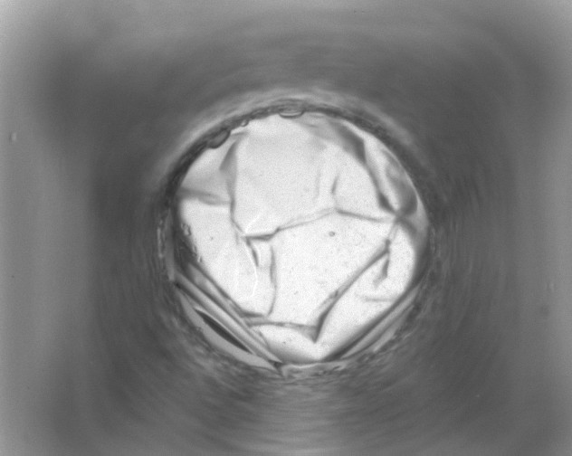 X0000063491496200602172036