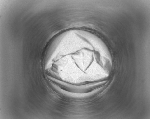 X0000063491497200602172036