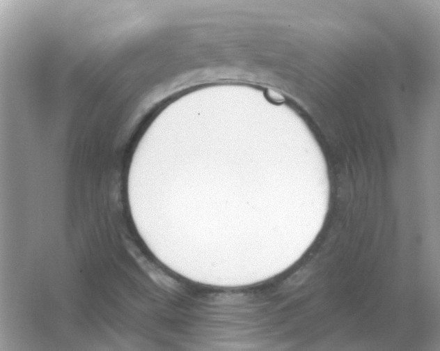 X0000063491499200602172036