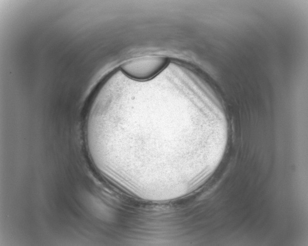 X0000063491501200602172036