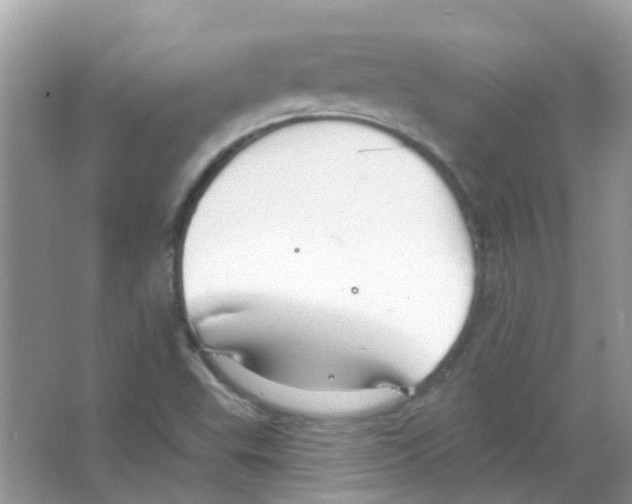 X0000063491503200602172036