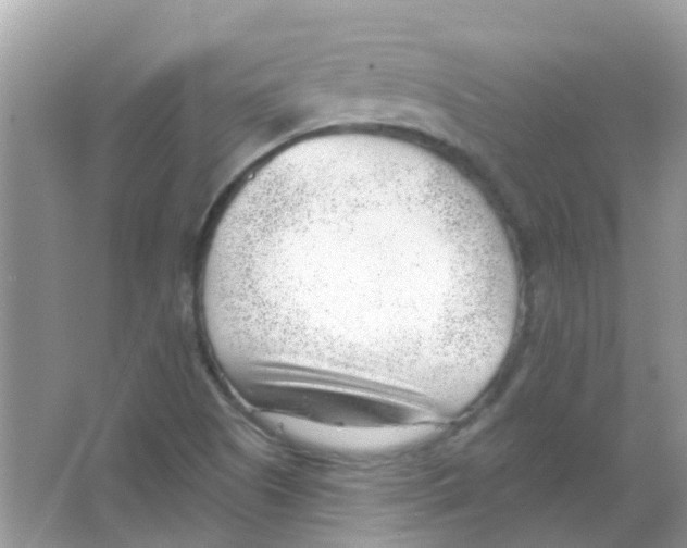 X0000063491505200602172036