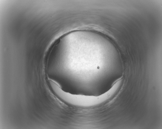 X0000063491506200602172037