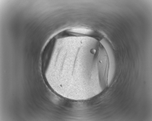 X0000063491508200602172037