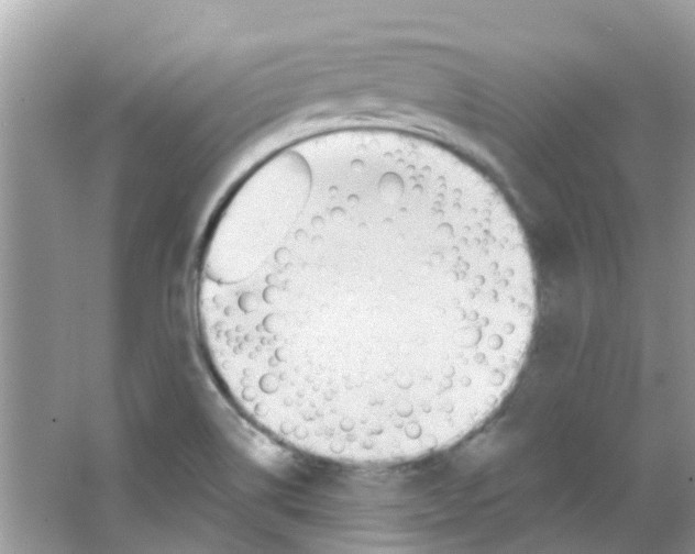 X0000063491514200602172037