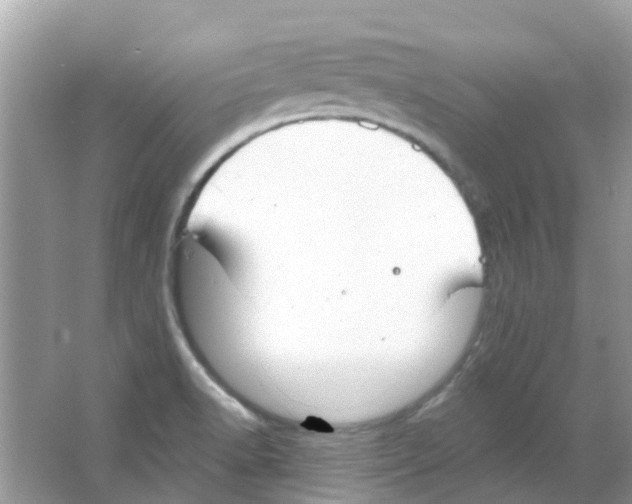 X0000063491518200602172037