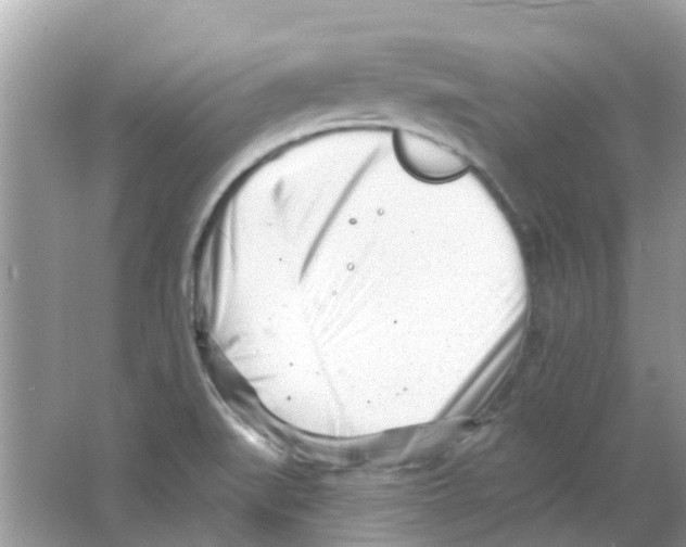 X0000063491519200602172037