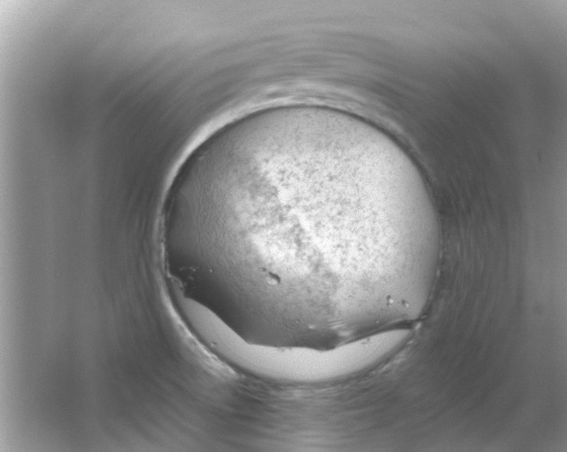 X0000063491522200602172037