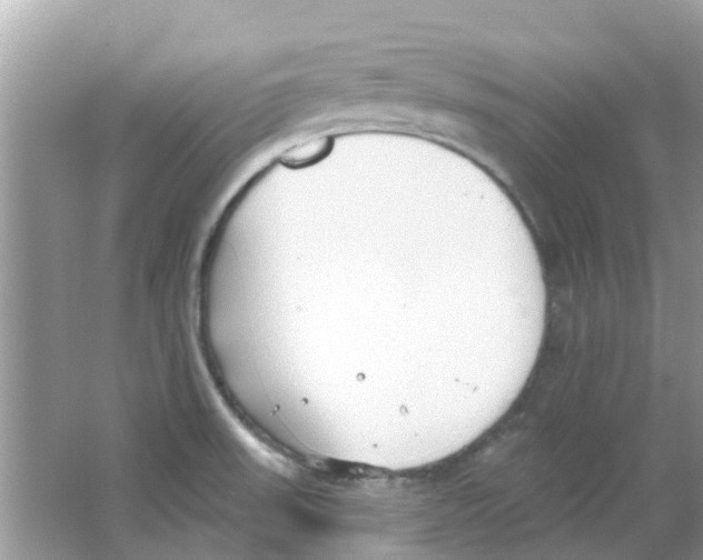 X0000063491523200602172037