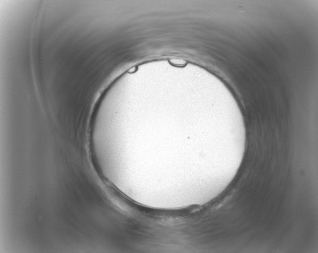 X0000063491525200602172037