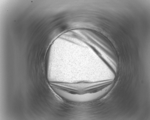 X0000063491529200602172037