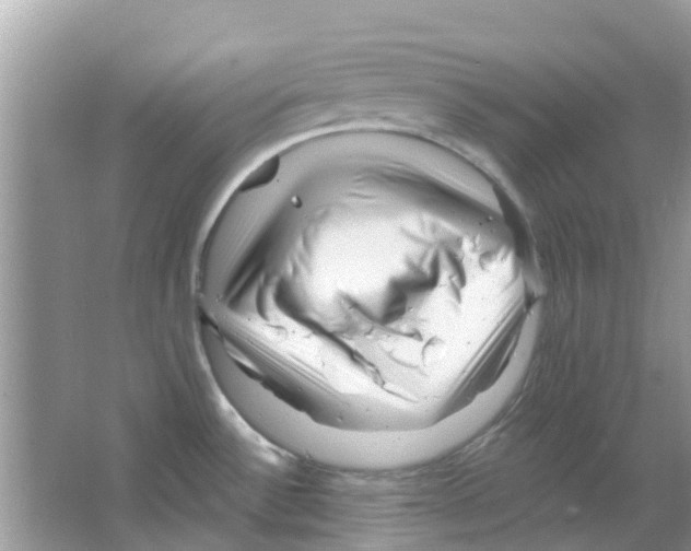 X0000063491532200602172037