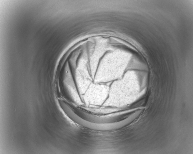 X0000063491536200602172037