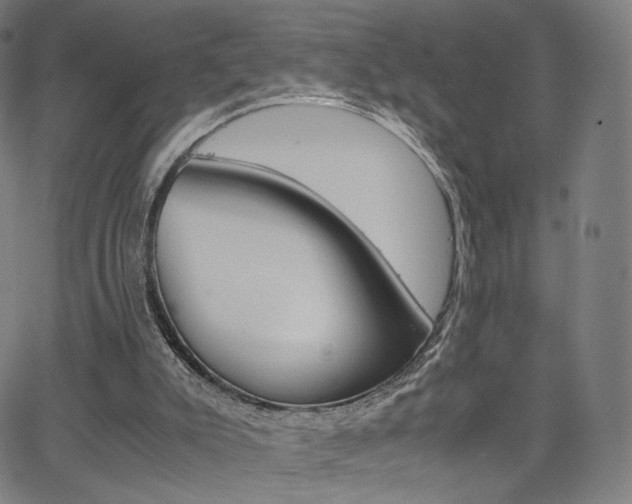 X0000063500007200601201038