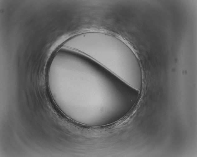 X0000063500008200601201038