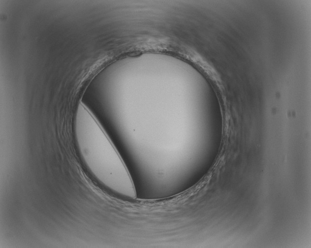 X0000063500009200601201038