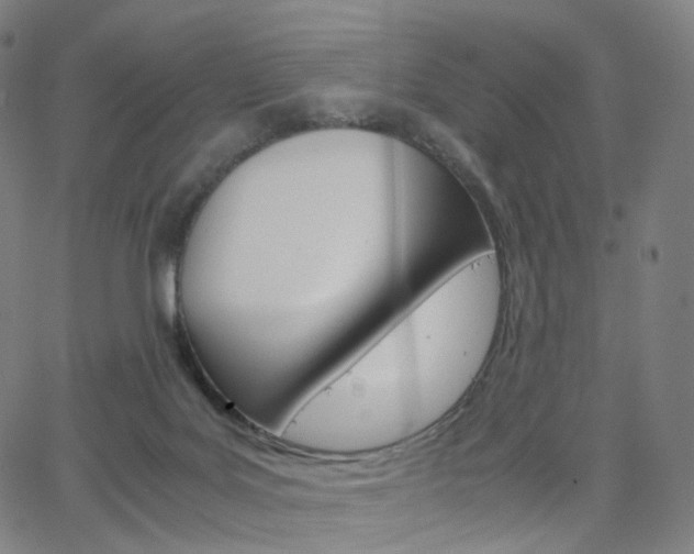 X0000063500027200601201037