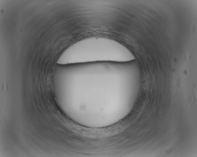 X0000063500034200601201037