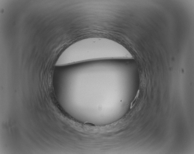 X0000063500043200601201037